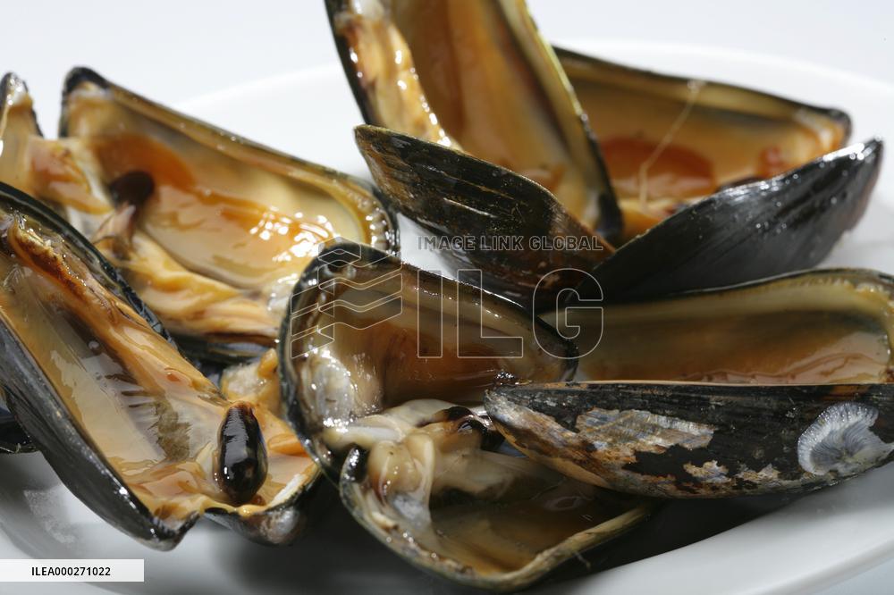 Mediterranean mussel (Mytilus galloprovincialis), mussels