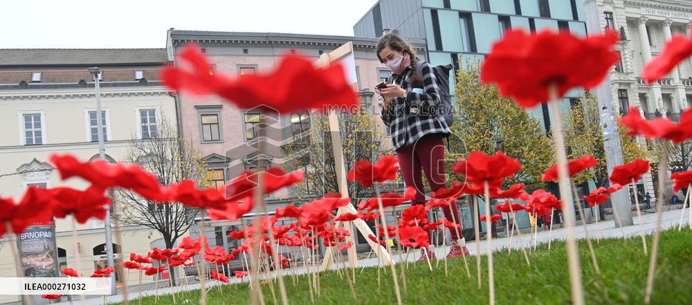 A field of poppies mark tomorrow's celebration of War Veterans Day