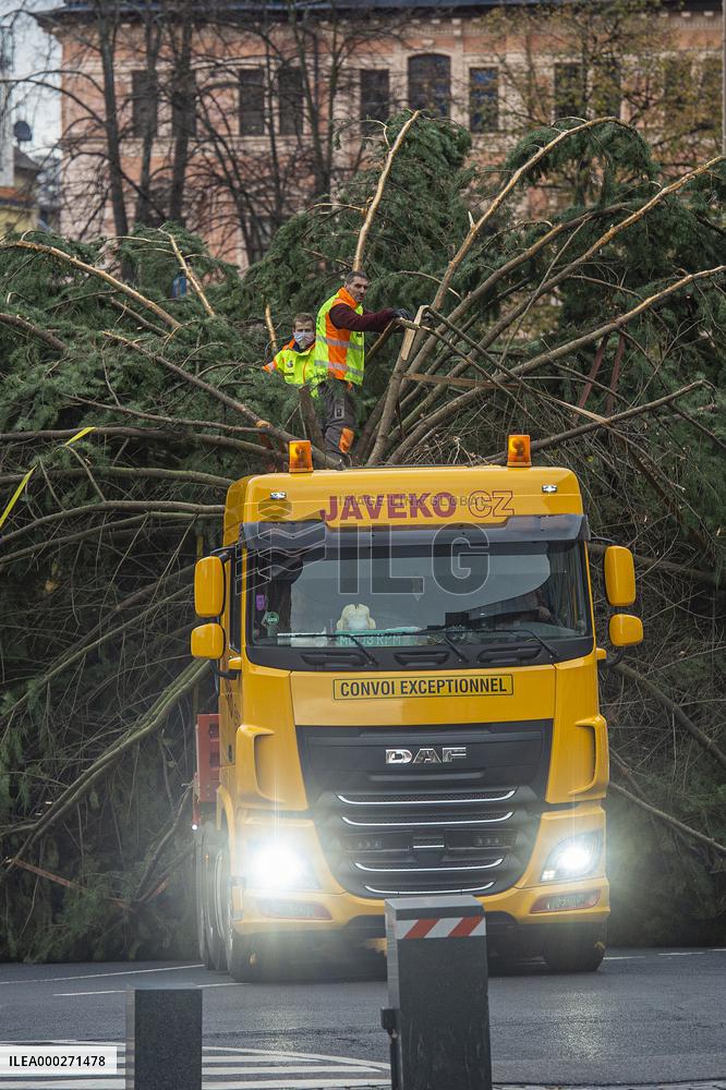 Christmas tree , transport, truck, Liberec, square of Dr. Edvard Benes