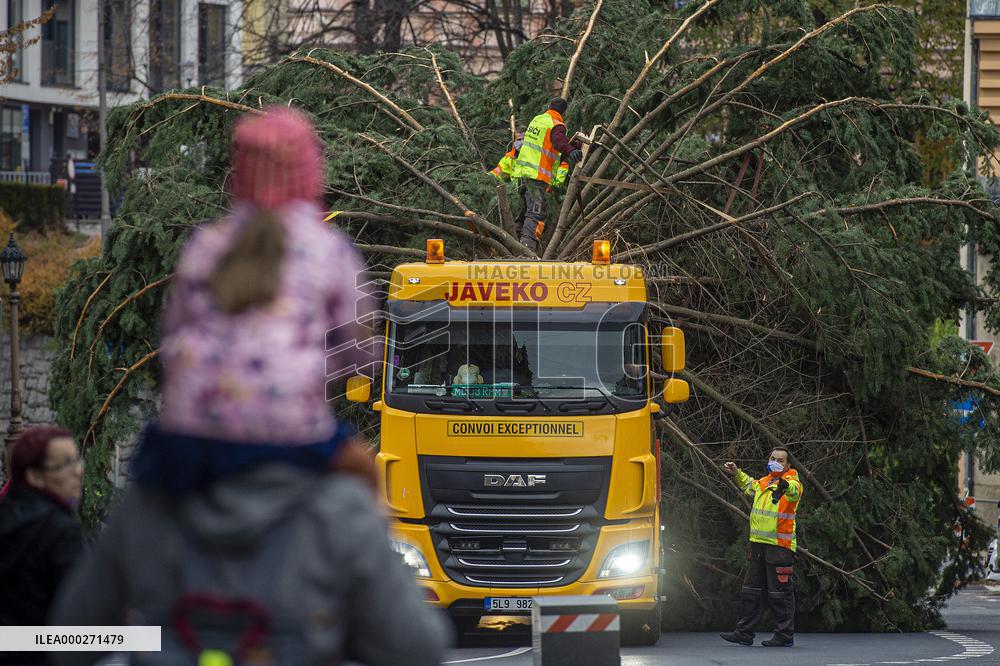 Christmas tree , transport, truck, Liberec, square of Dr. Edvard Benes