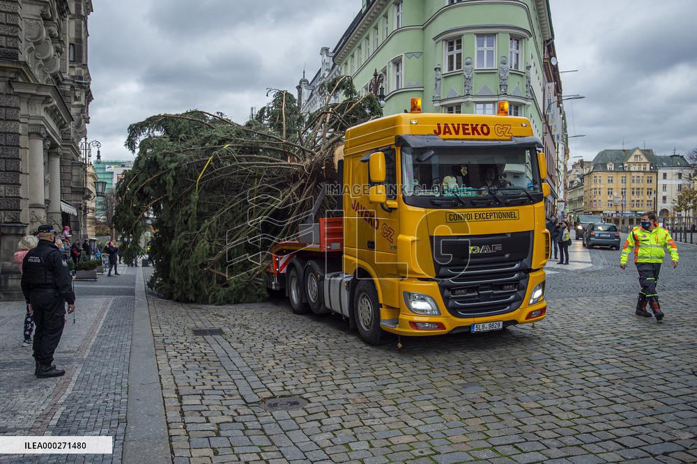 Christmas tree , transport, truck, Liberec, square of Dr. Edvard Benes