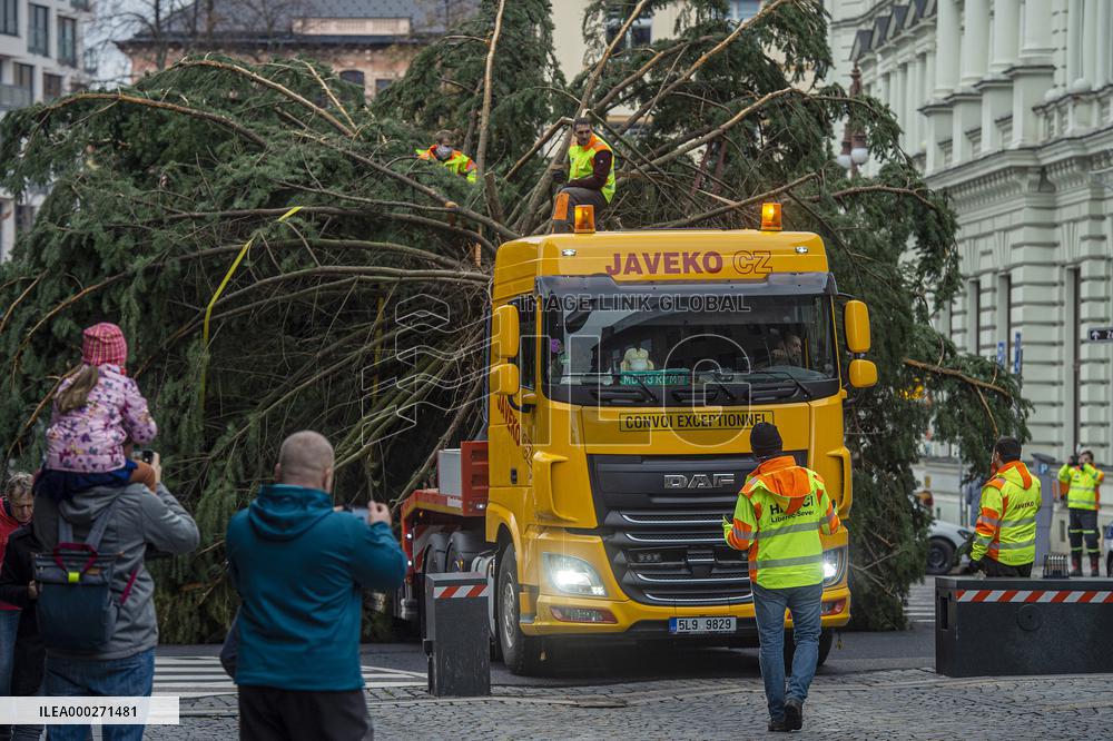 Christmas tree , transport, truck, Liberec, square of Dr. Edvard Benes