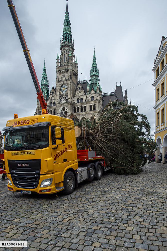 Christmas tree , transport, truck, Liberec, square of Dr. Edvard Benes