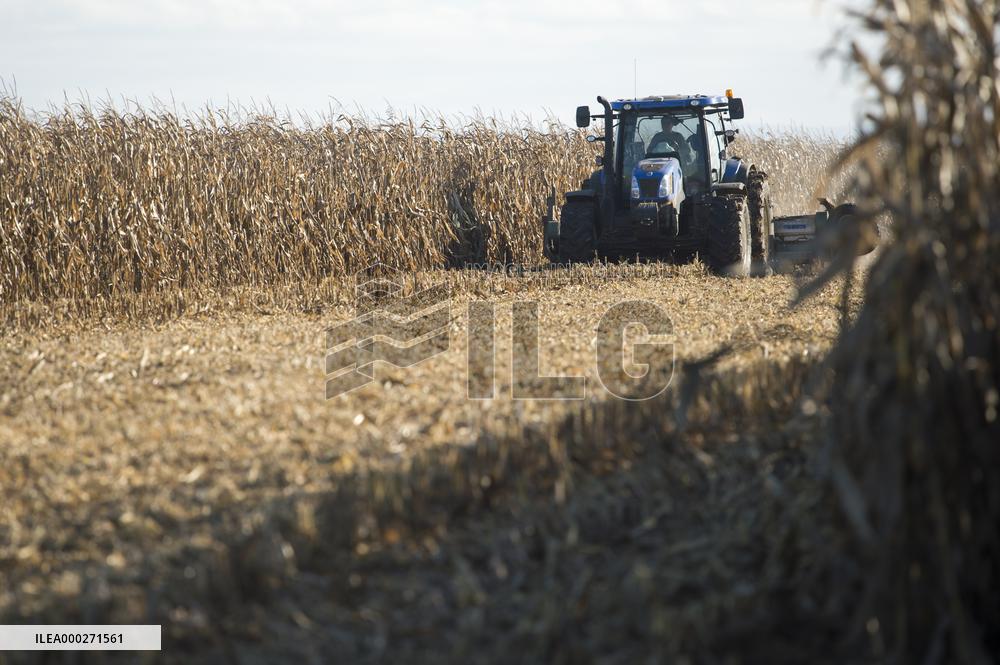 field, combine harvester, corn crop yield