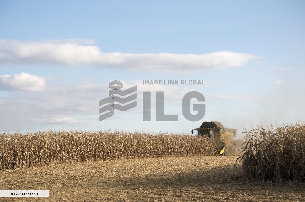 field, combine harvester, corn crop yield