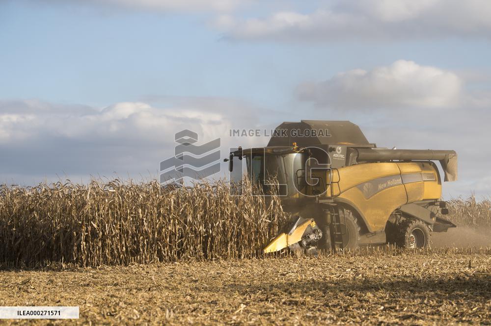 field, combine harvester, corn crop yield
