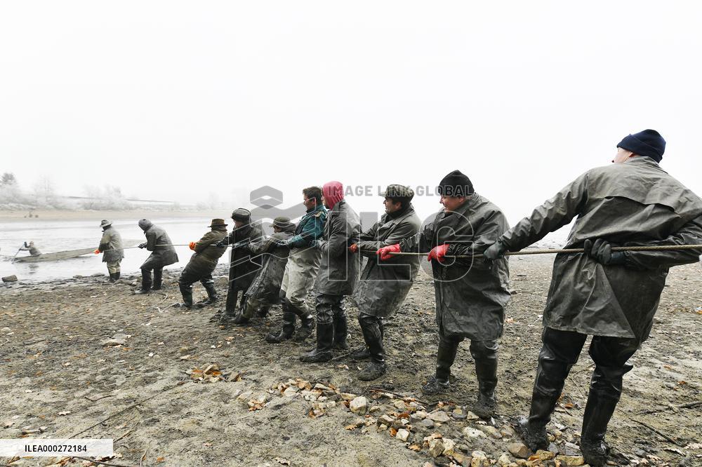 pond, Kovcin, fishermen, fish, carp