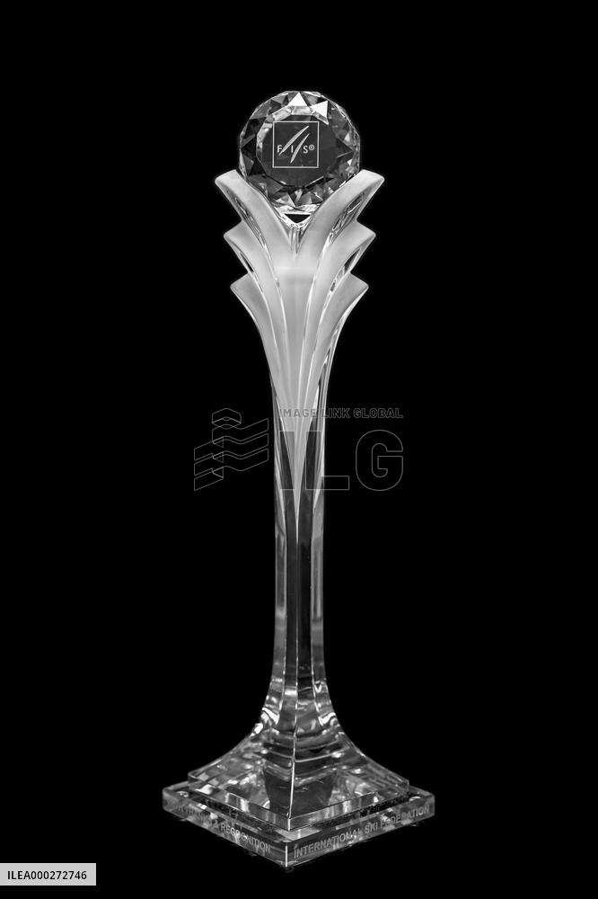 FIS Journalist Award