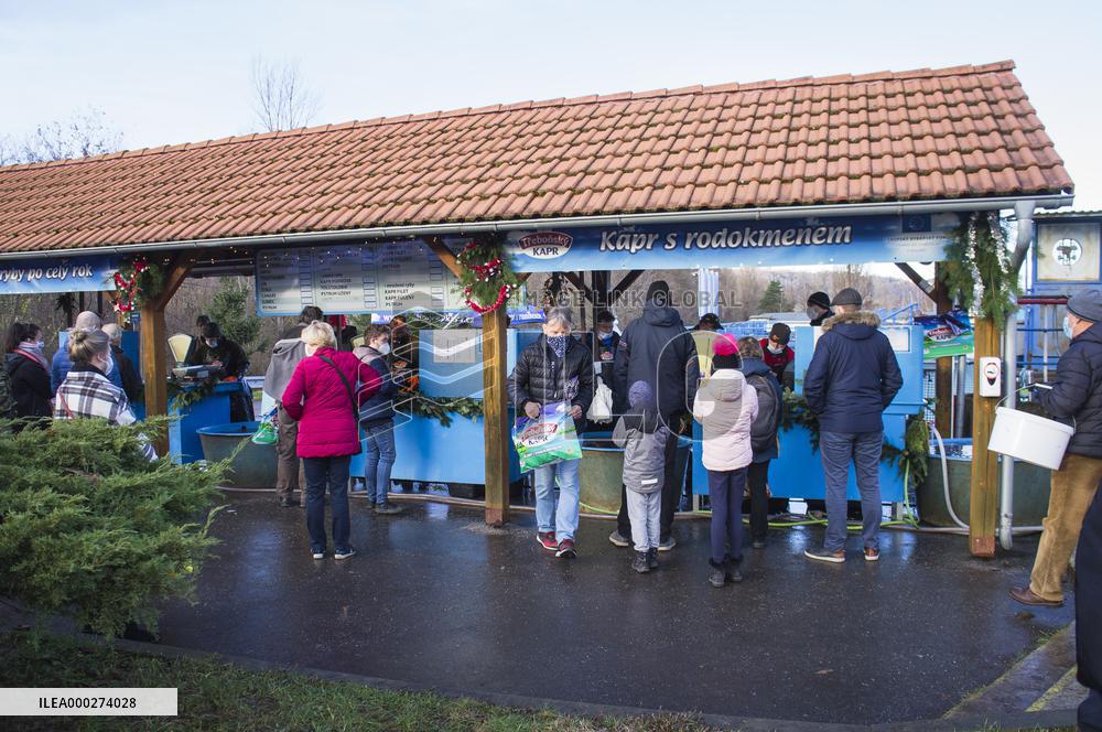 Fish shop in the fish hatchery Lahovice, Trebonsky carp, Christmas fish selling