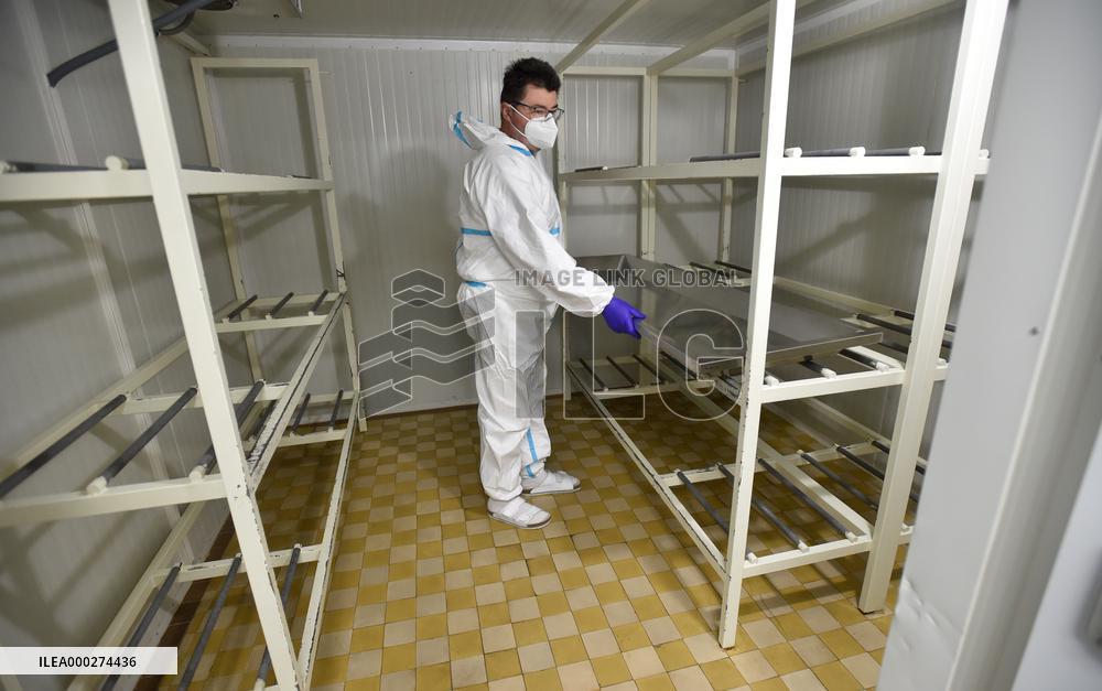 dissecting-room, pathology, hospital