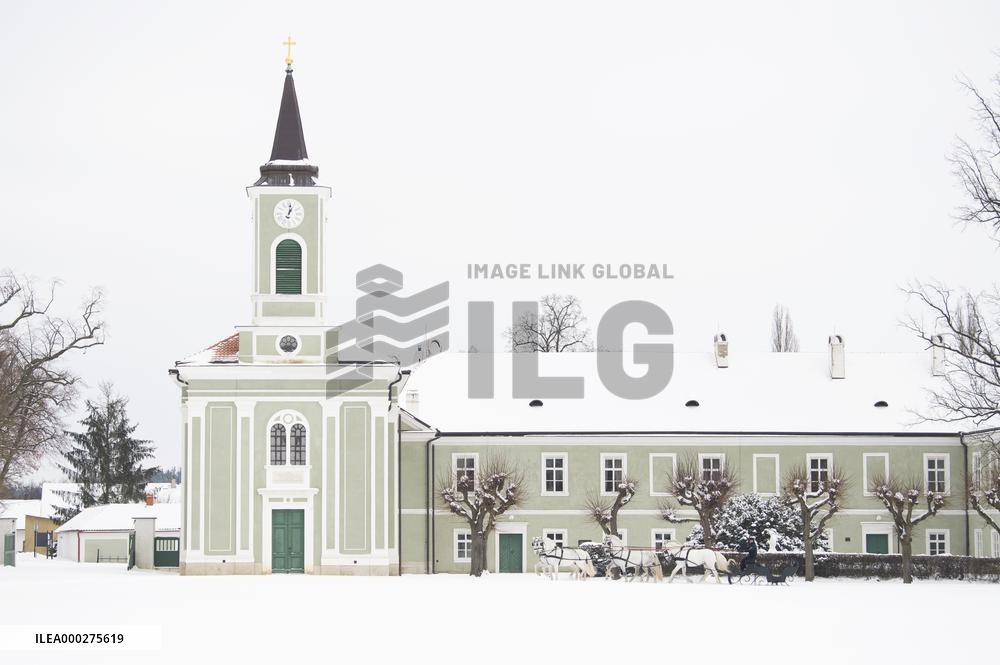 National Stud Kladruby nad Labem, Old Kladruber white horse, sleigh