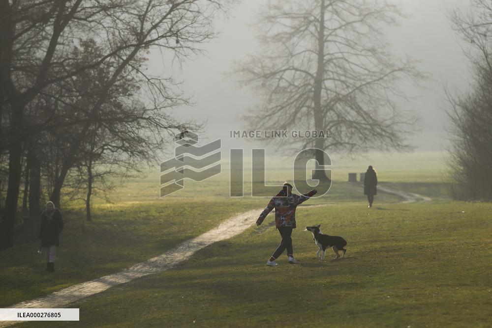 people, weather, dog