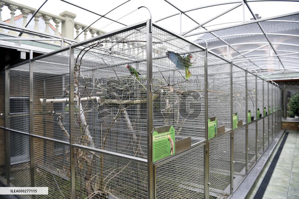 Parrot zoo