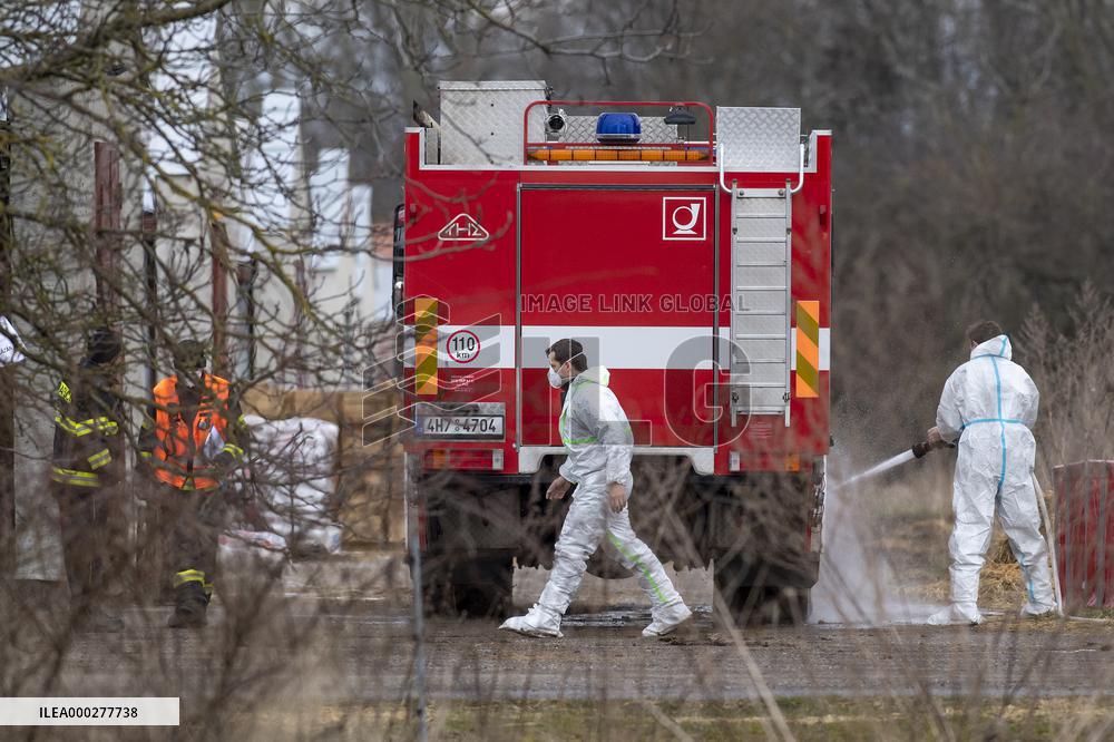 bird flu, poultry, culled by the veterinarians
