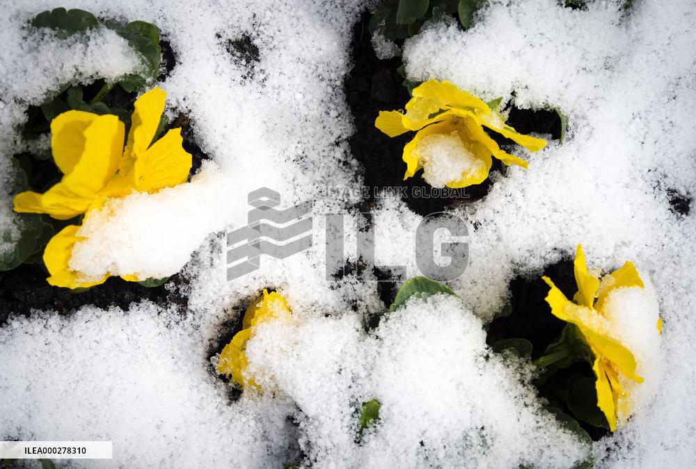 winter weather in Prague