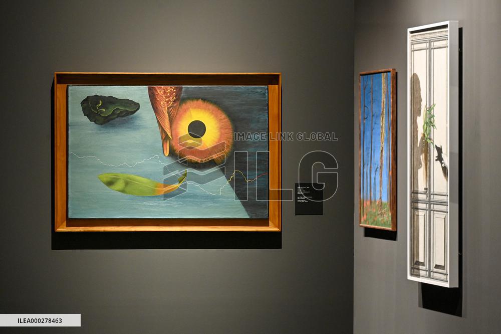 The exhibition Toyen: The Dreaming Rebel