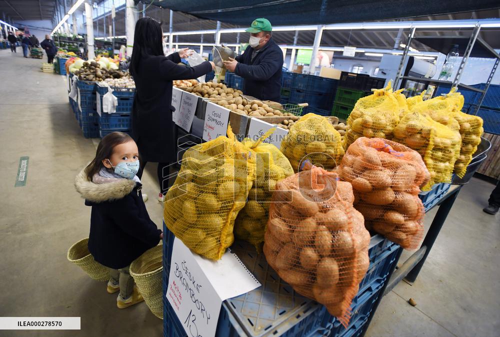 Prague Market, Holesovice, fruit, vegetables