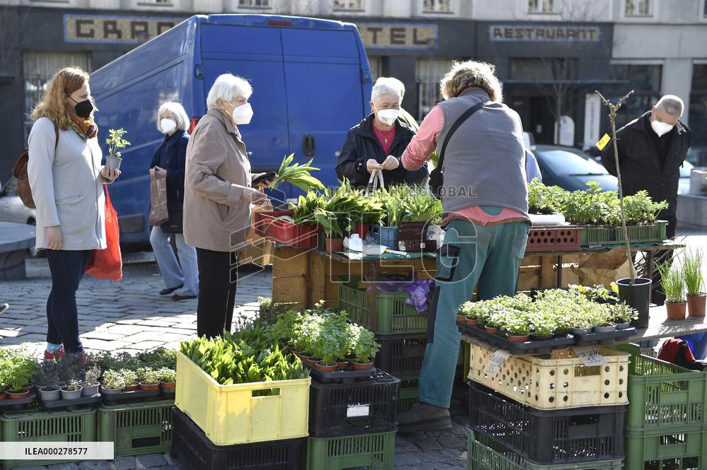 Zelny Trh Market, Brno, fruit, vegetables