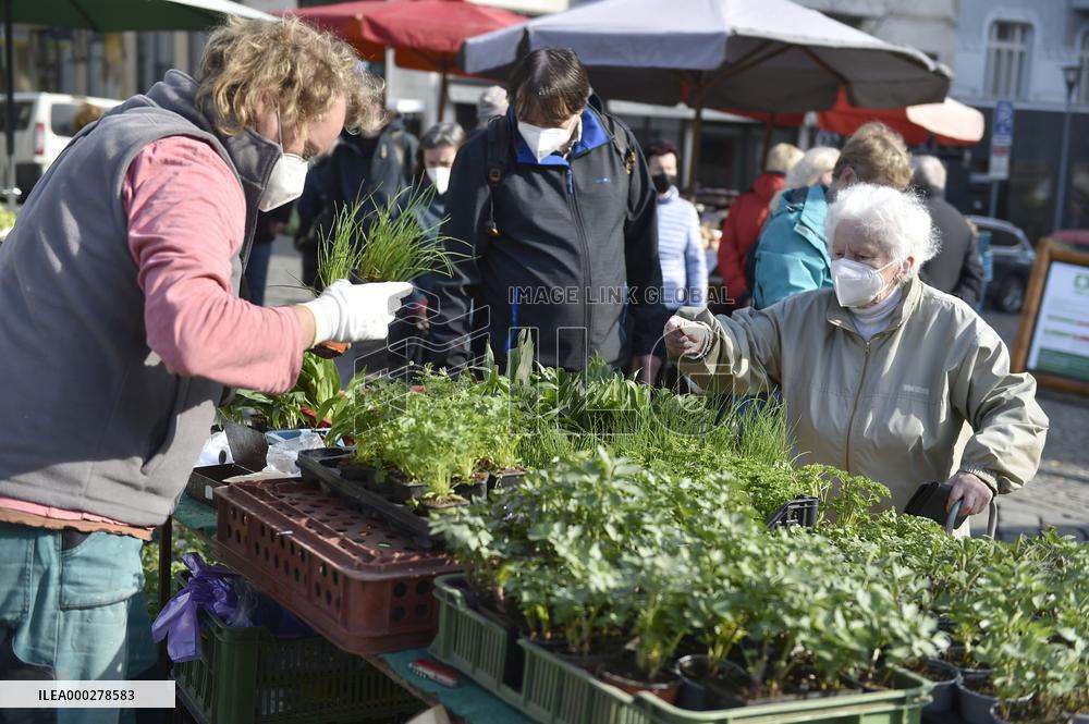 Zelny Trh Market, Brno, fruit, vegetables