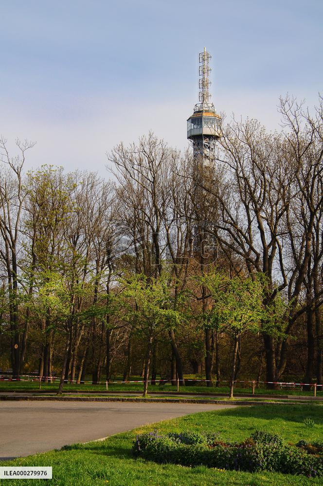Petrin, Petrin lookout tower, spring, flowers