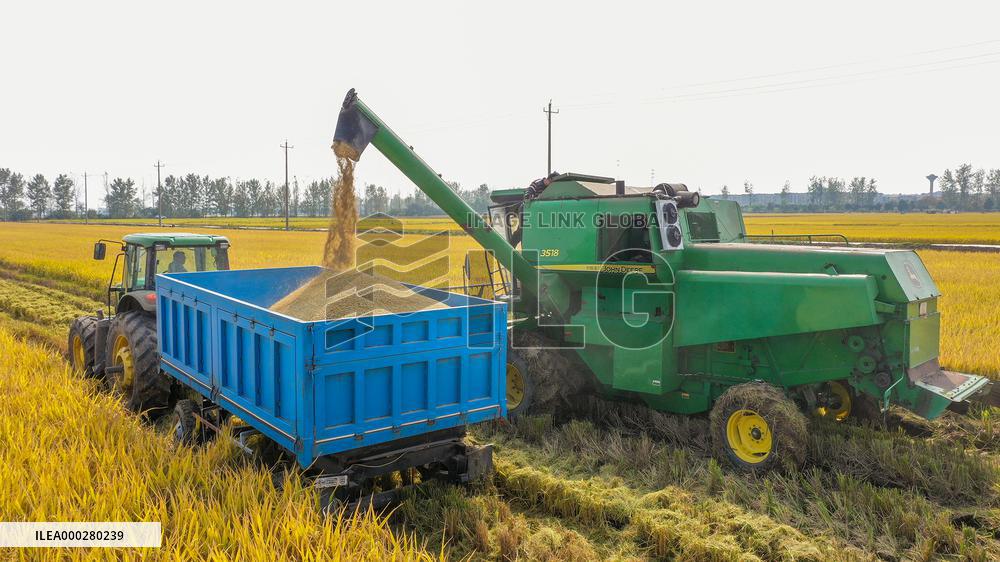 Hongze Lake Farm Autumn Harvest