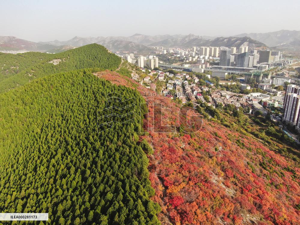 Natural Scene In Jinan City