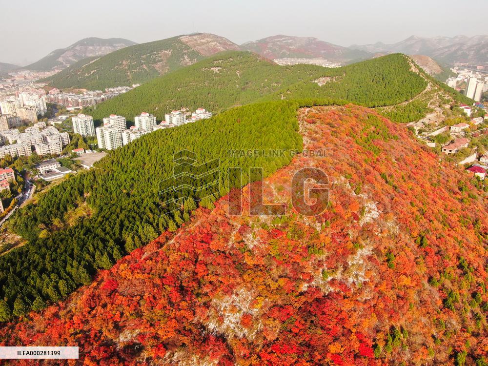 Natural Scene In Jinan City