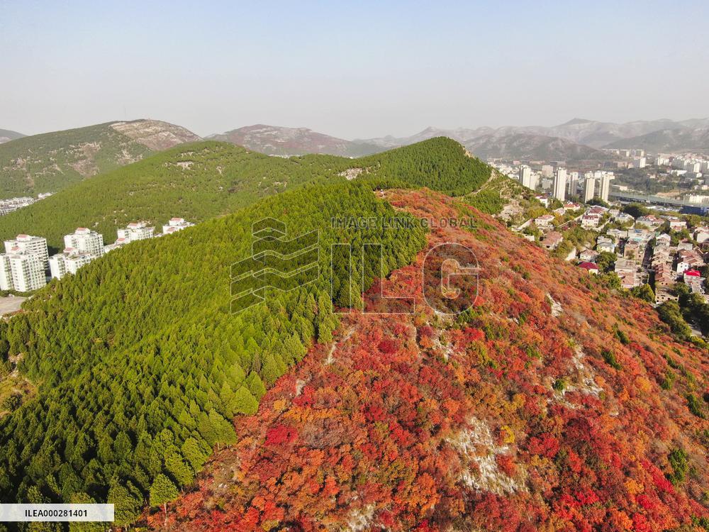 Natural Scene In Jinan City