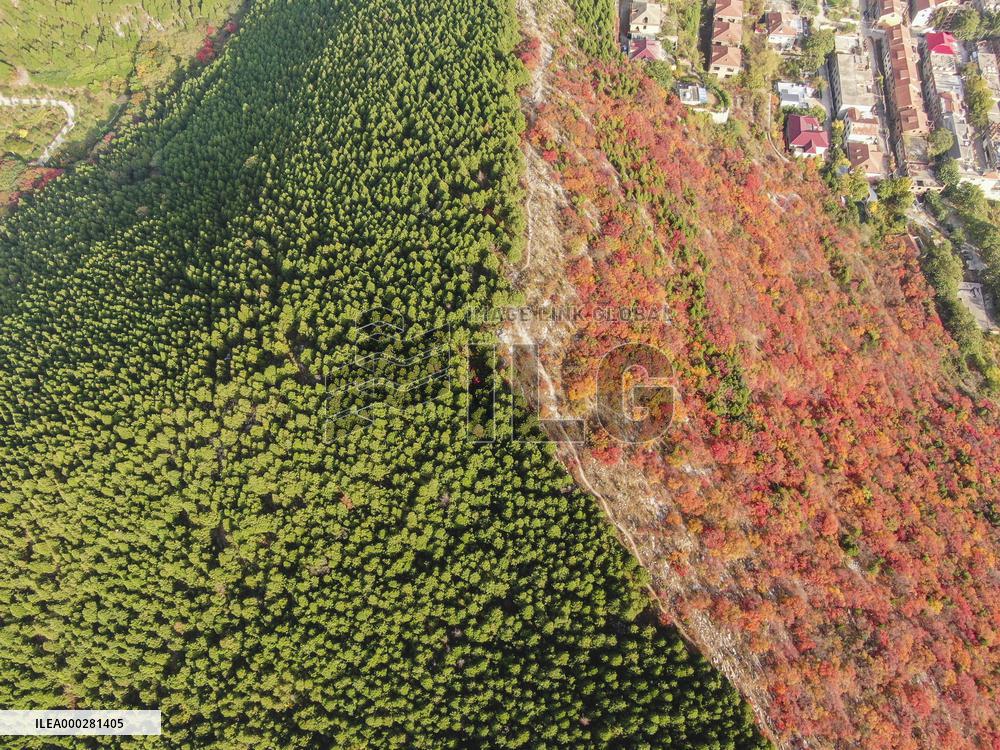 Natural Scene In Jinan City