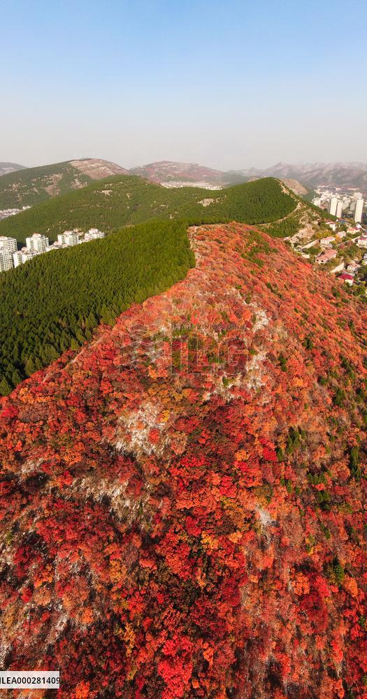 Natural Scene In Jinan City