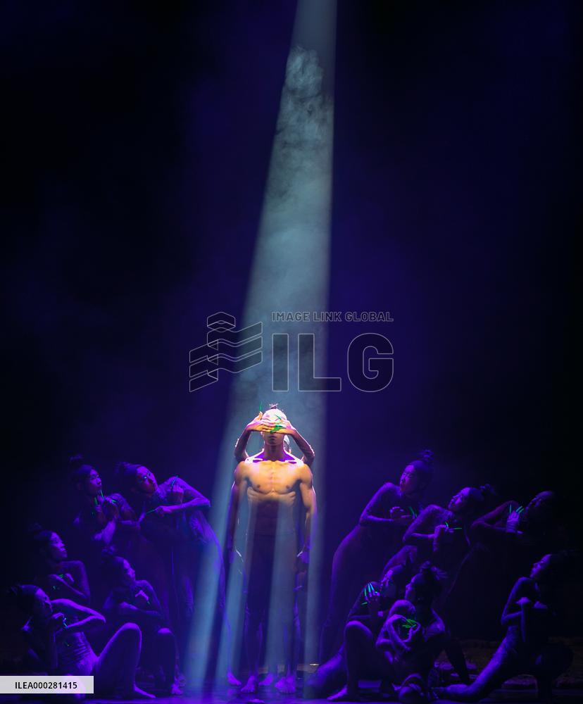 Yang Liping's Dance Drama