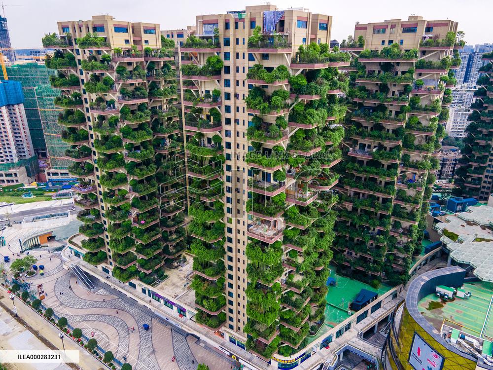 Plants Overrun Apartment Blocks In Chengdu City