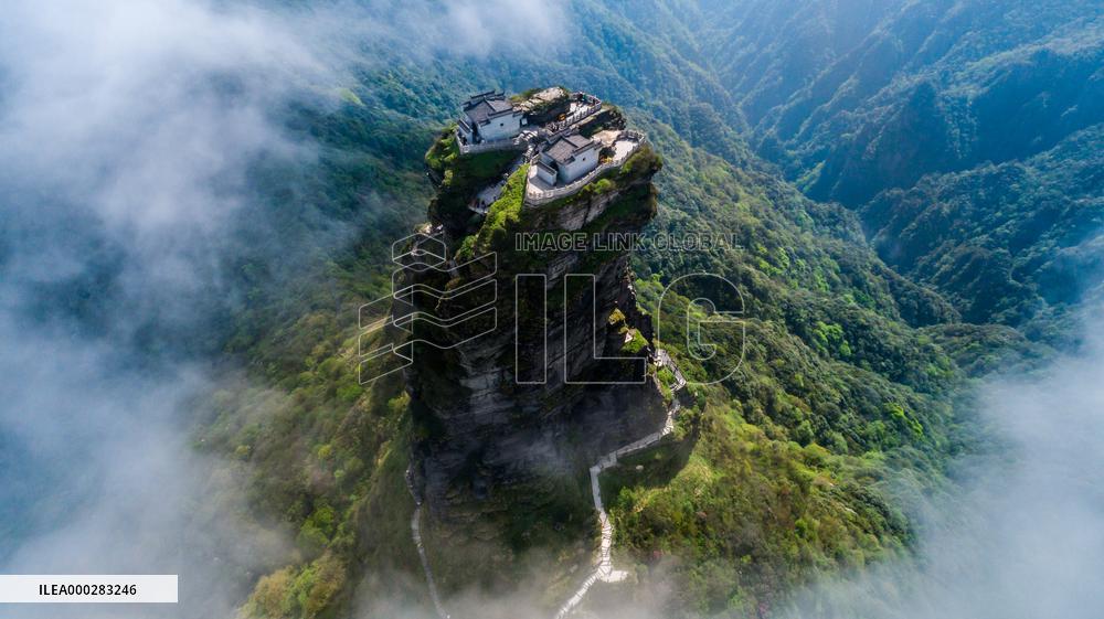 World Natural Heritage Fanjing Mountain in Guizhou,China