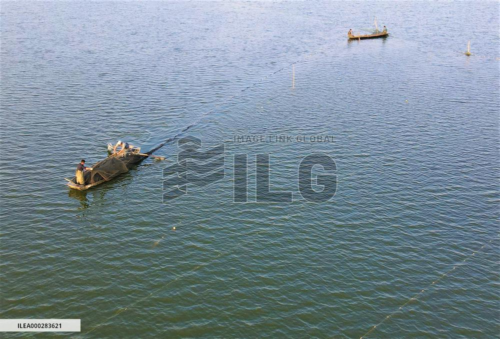 Characteristic Breeding