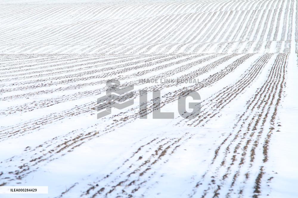 China Commodity Grain Base Beidahuang Group