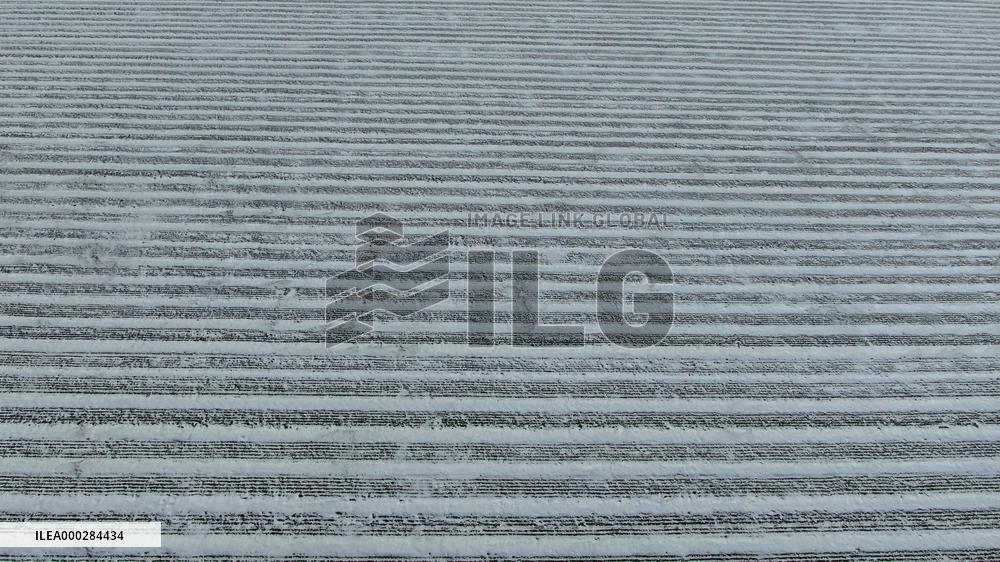 China Commodity Grain Base Beidahuang Group