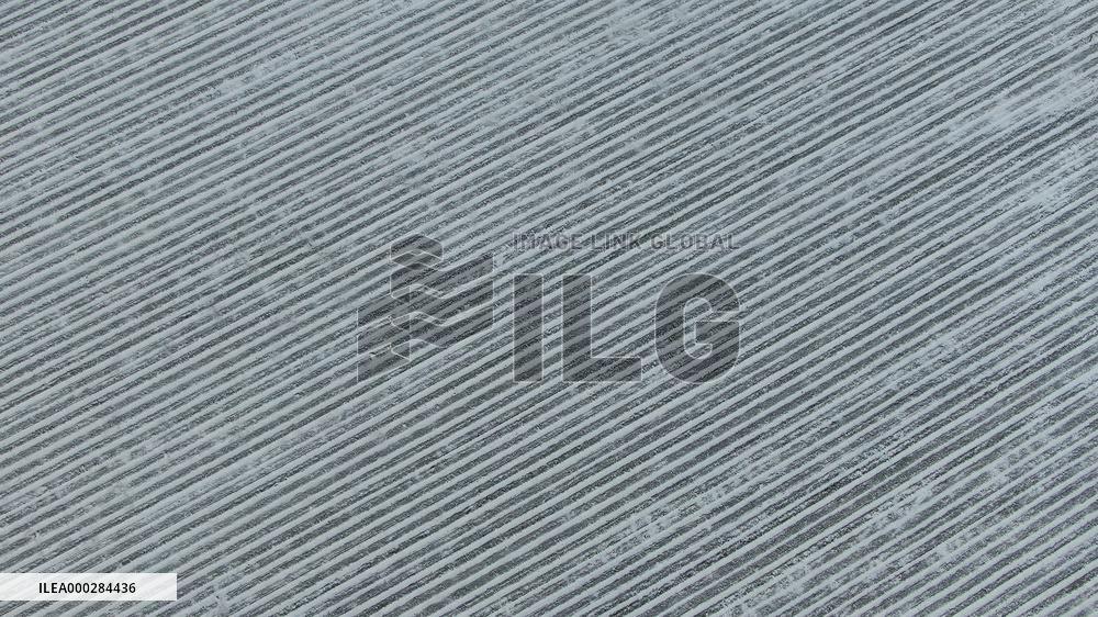 China Commodity Grain Base Beidahuang Group