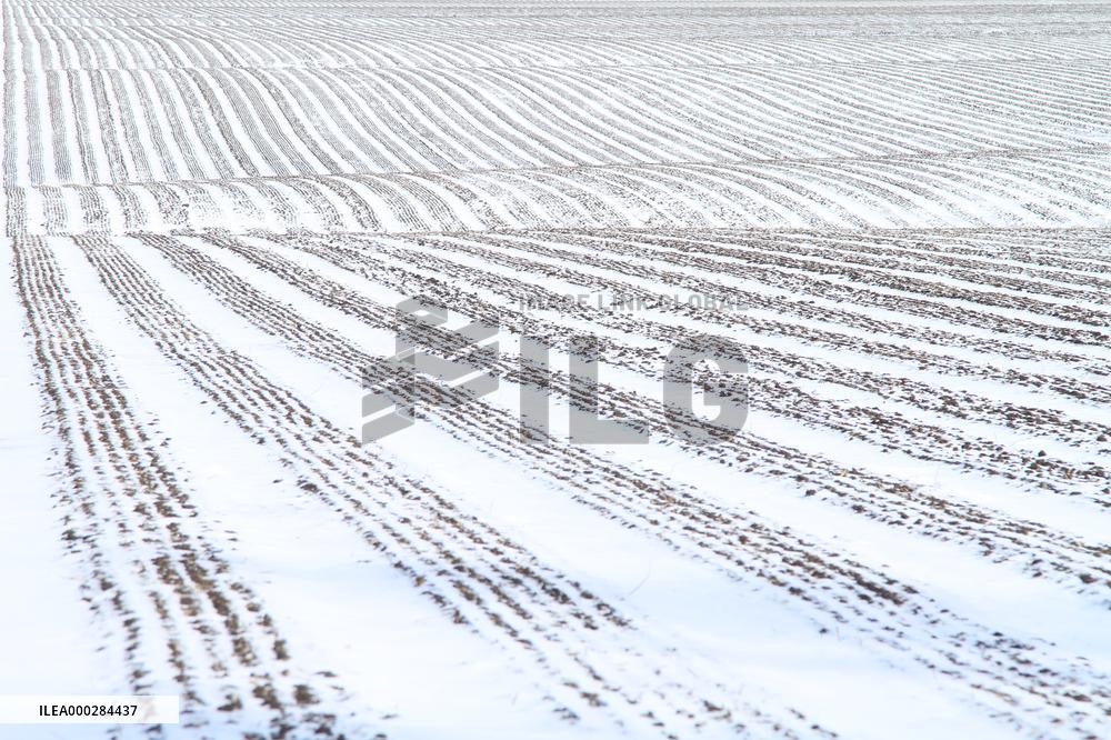 China Commodity Grain Base Beidahuang Group