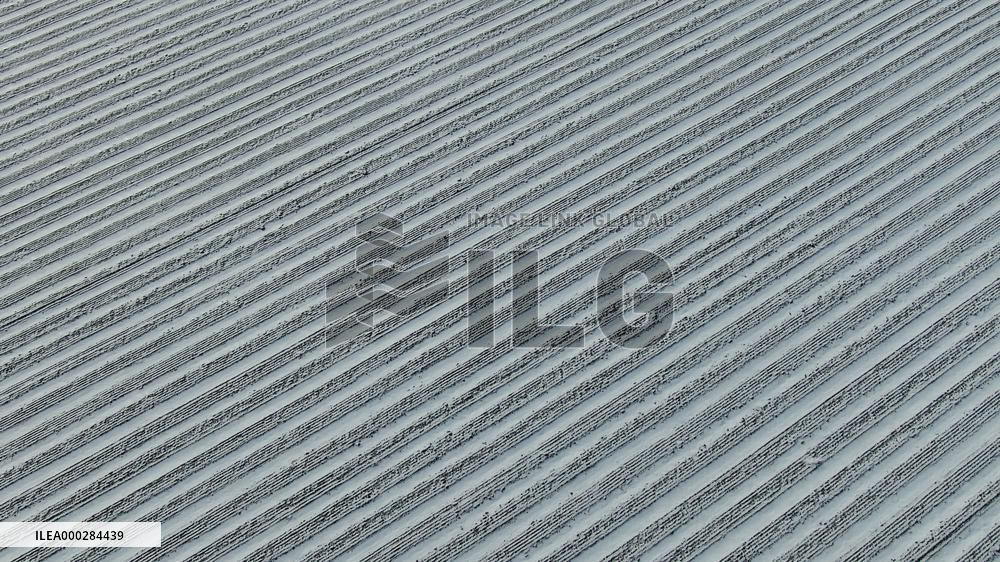 China Commodity Grain Base Beidahuang Group