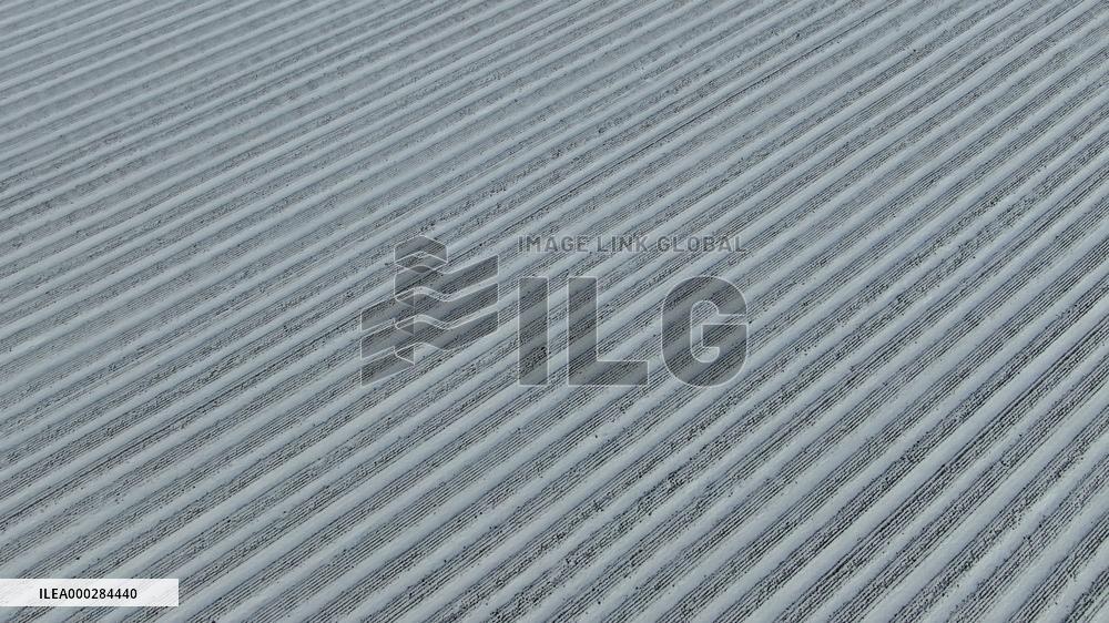 China Commodity Grain Base Beidahuang Group