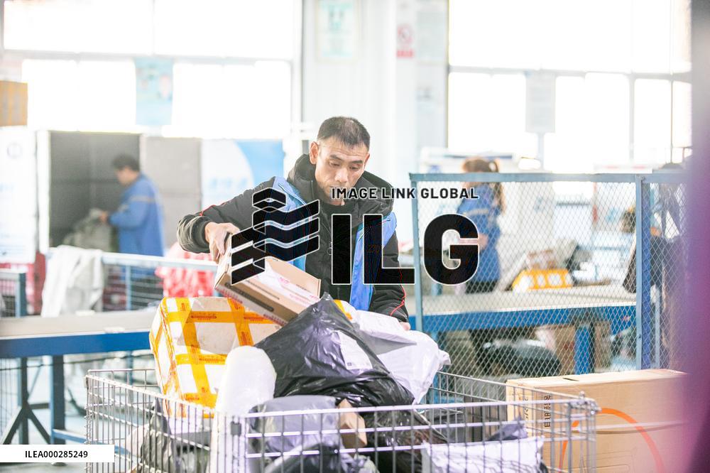 Double 11 E-commerce Warehouse Logistics