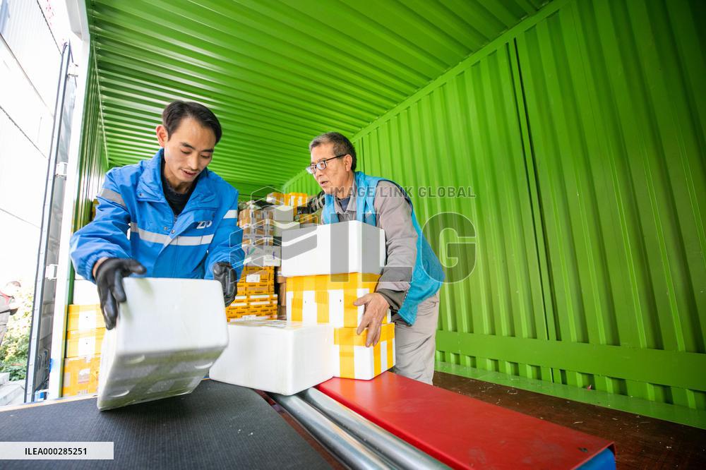 Double 11 E-commerce Warehouse Logistics