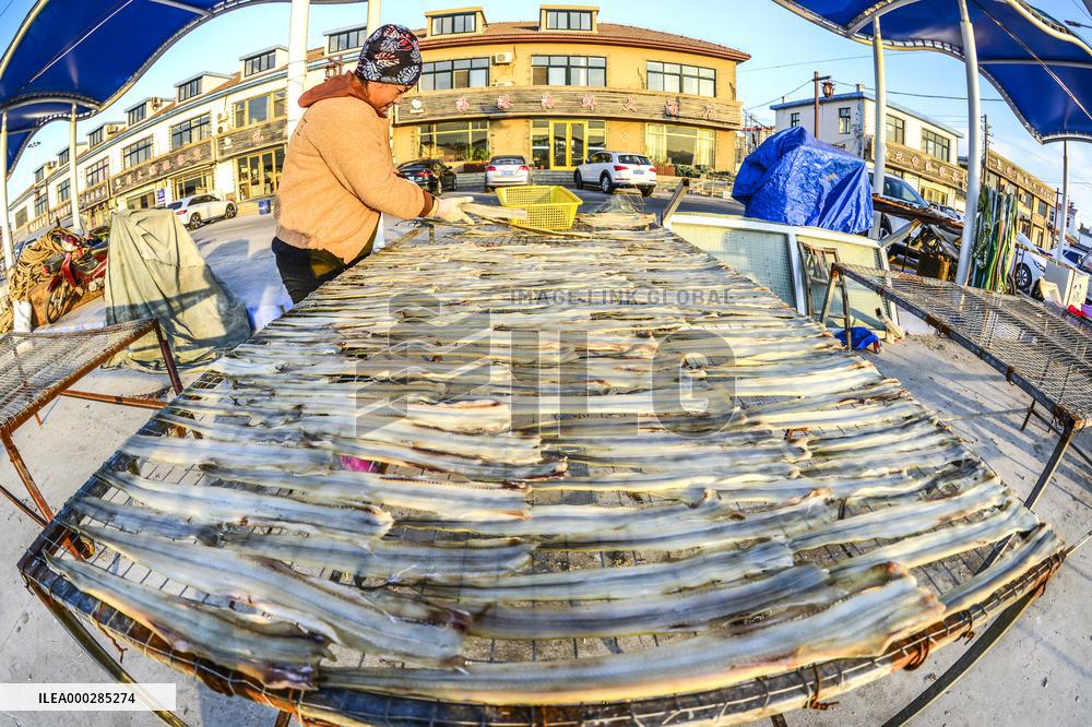 Basking Fish In Early Winter