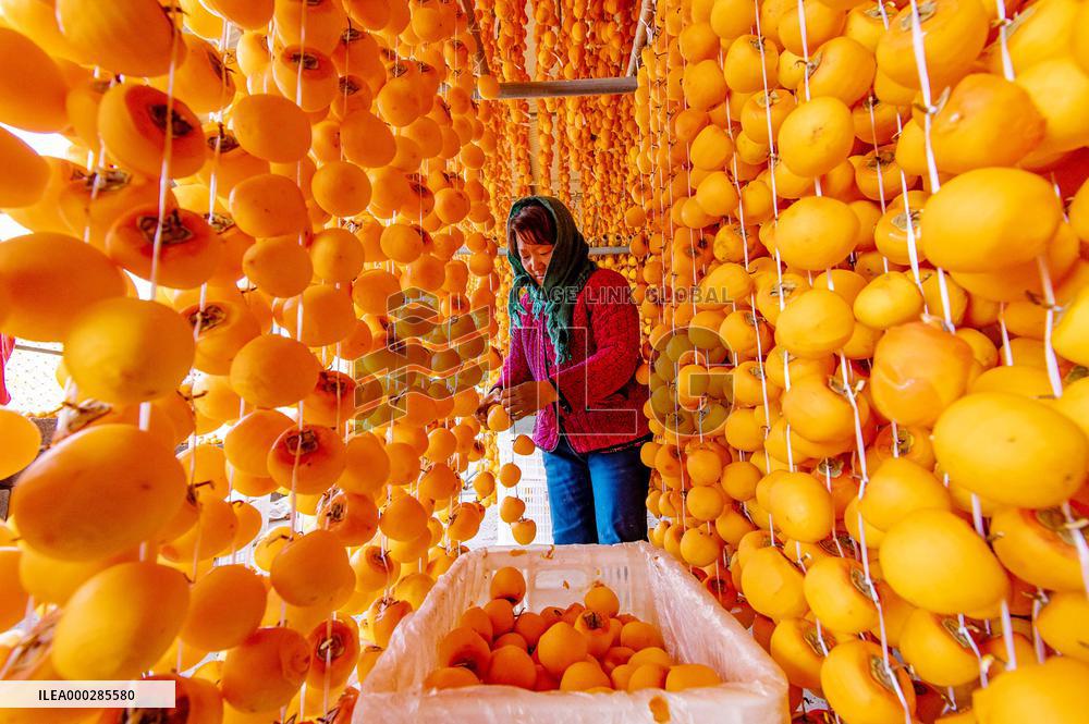 Persimmon Processing