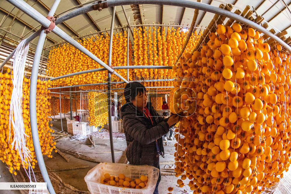 Persimmon Processing