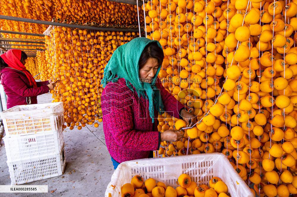 Persimmon Processing