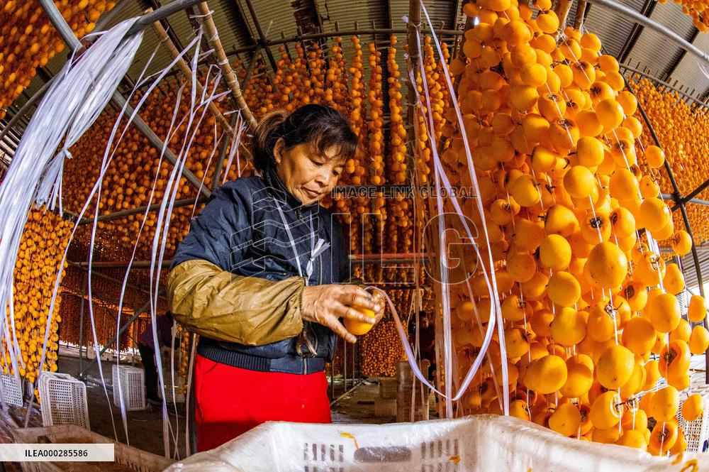 Persimmon Processing