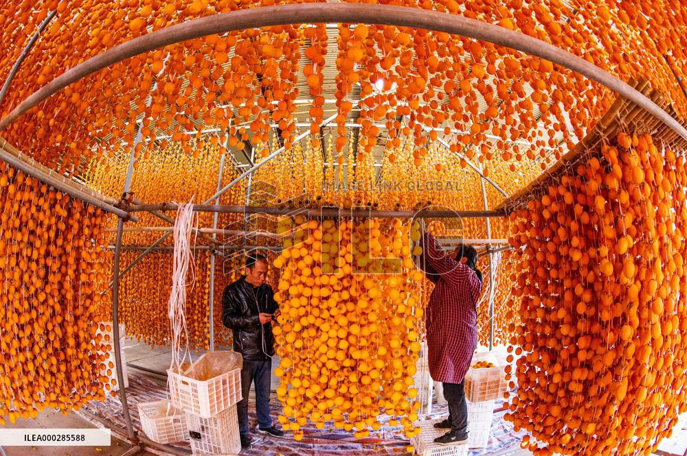 Persimmon Processing