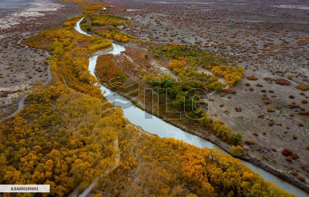 Natural Ecological Environment Improvement In China