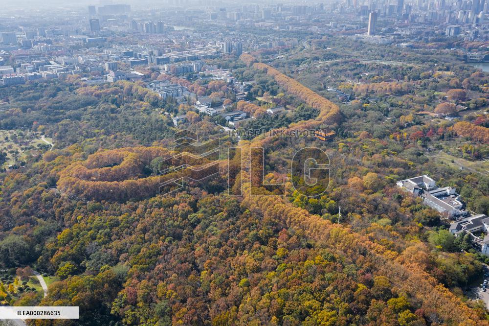 Aerial Meiling Palace